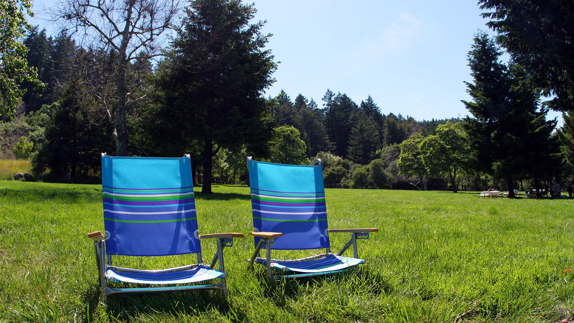 beach chairs on grass